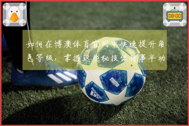 如何在博澳体育官网中快速提升角色等级,掌握这些秘技你将事半功倍!