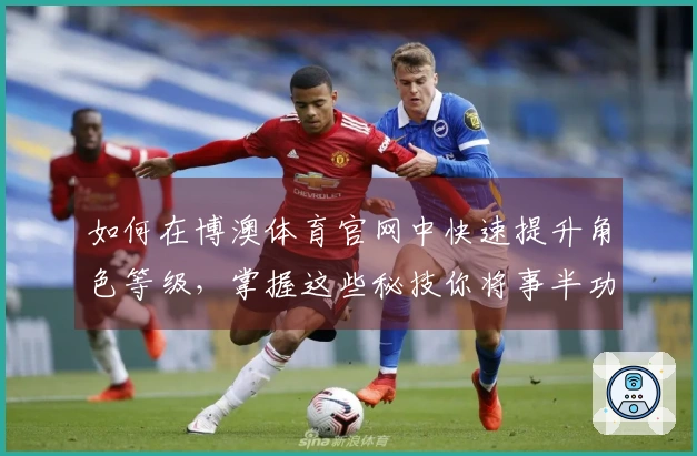 如何在博澳体育官网中快速提升角色等级，掌握这些秘技你将事半功倍！