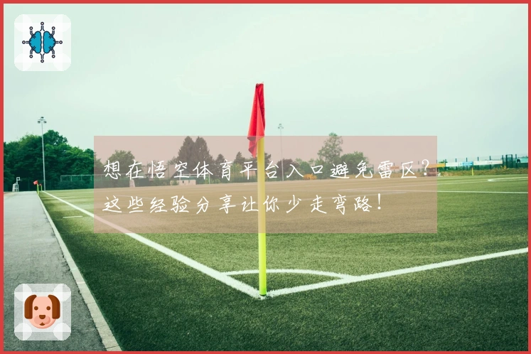 想在悟空体育平台入口避免雷区？这些经验分享让你少走弯路！