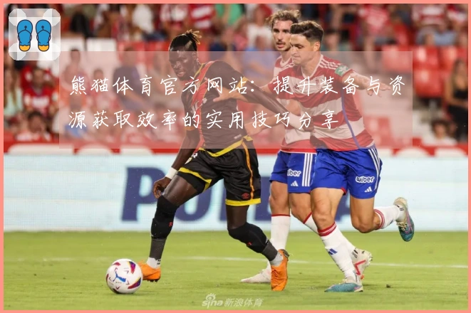 熊猫体育官方网站：提升装备与资源获取效率的实用技巧分享